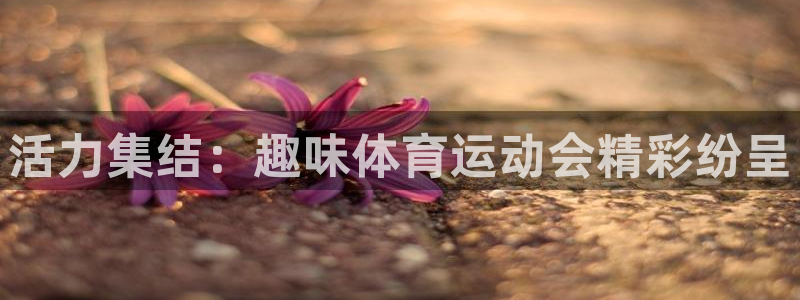 必发官网下载平台注册要钱吗安全吗:活力集结:趣味体育运动会精