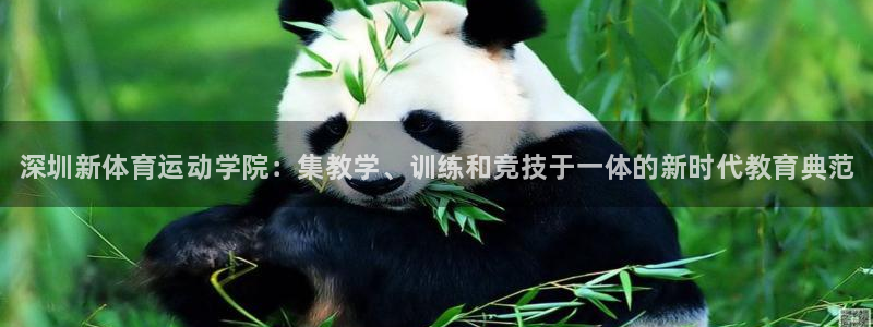 必发官网下载平台是正规平台吗安全吗:深圳新体育运动学院:集教