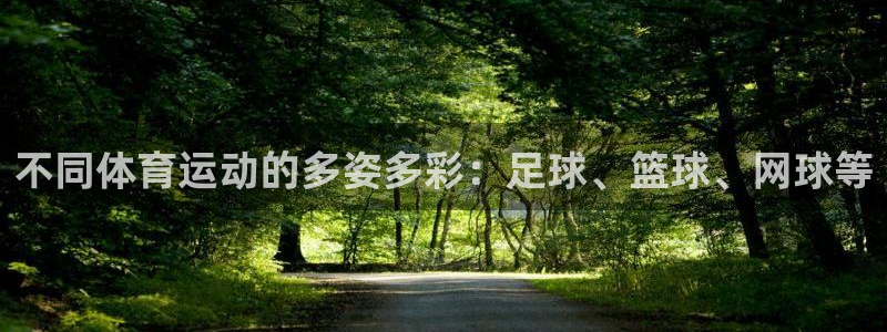 必发官方正版app五金厂:不同体育运动的多姿多彩:足球、篮球