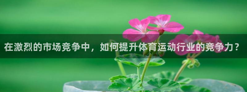 必发官网下载招商电话号码:在激烈的市场竞争中,如何提升体育运